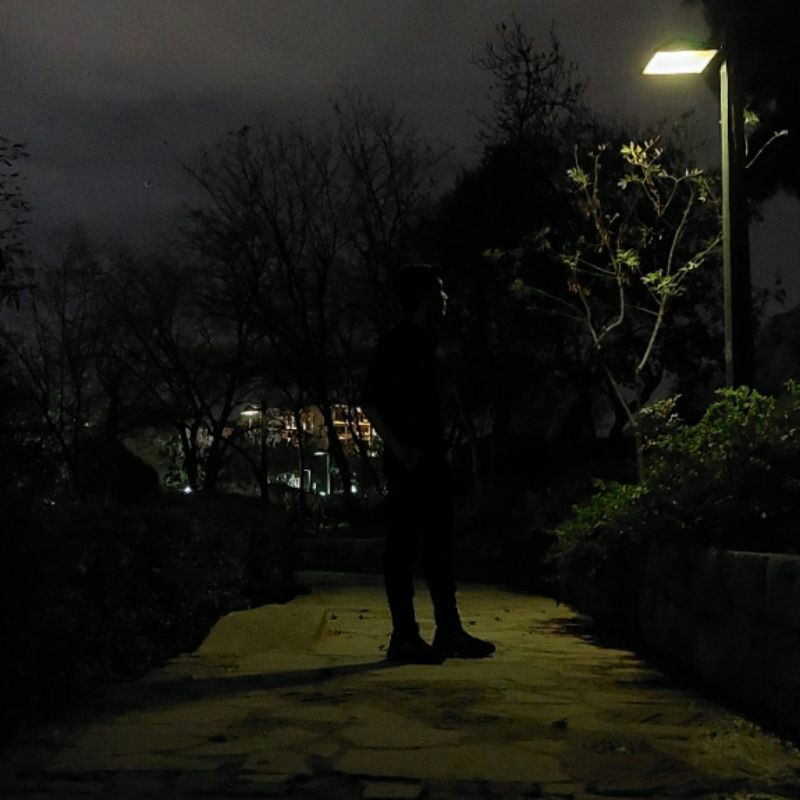 a person standing on a path with trees and a street light